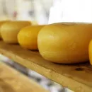 В Крыму производство сыров увеличилось на фоне острого дефицита сырья