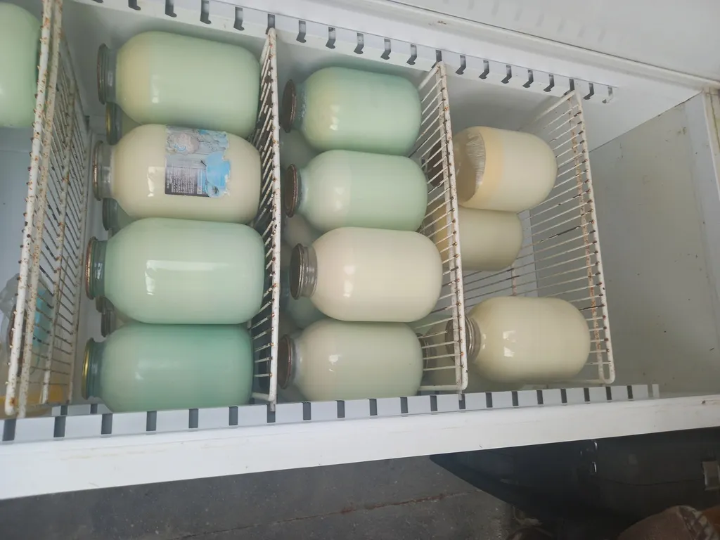 продаётся домашнее молоко в Севастополе